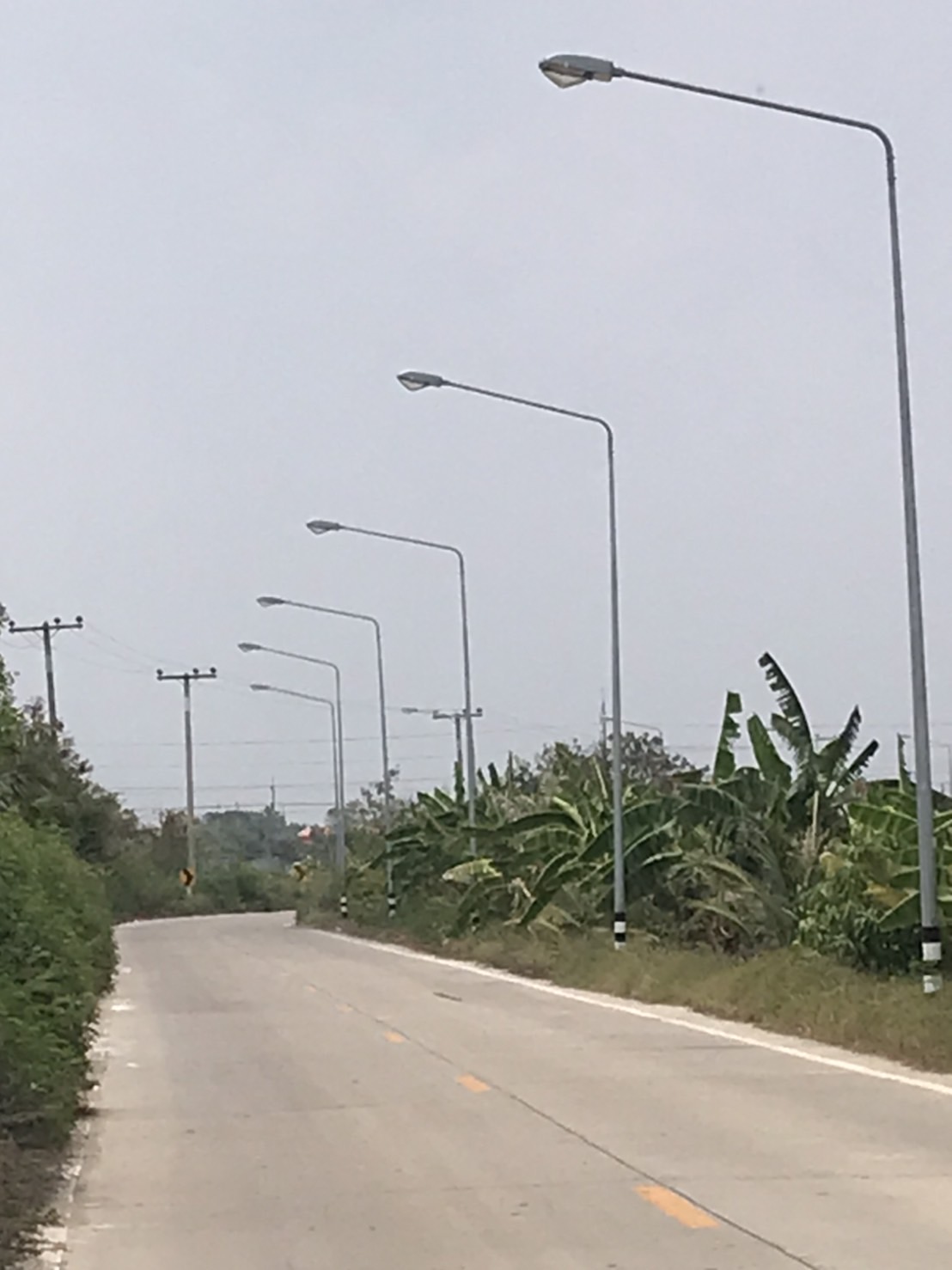 Lampposts along the entrance to the land