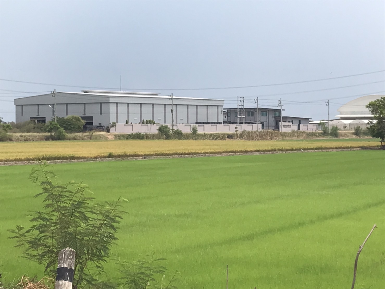 factory near the land