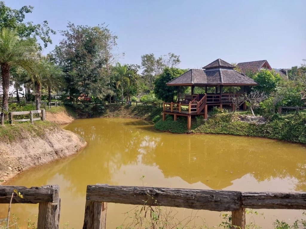 ขาย บ้าน เชียงดาว เชียงใหม่ พร้อมที่ดิน 8 ไร่ สวยอากาศดีไม่เเพง