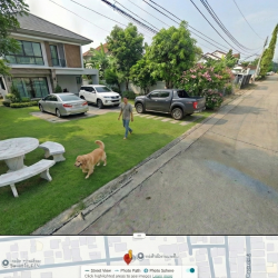 ขายที่ดิน 100 ตร.วา ทุ่งสองห้อง หลักสี่ ท้ายซอยเงียบ ราคา 7 ล้าน ใกล้สายสีแดง–ศูนย์ราชการ