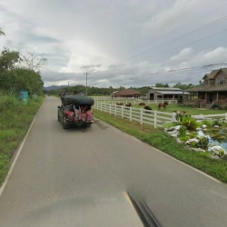 ขายที่ดินจันทบุรี อ.ท่าใหม่ 26 ไร่ ติดถนน 115 ม. มีบ่อน้ำตลอดปี พร้อมบ้าน