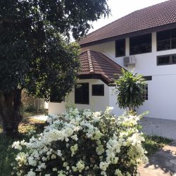 ขายบ้านสวนริมทะเล บางเสร่-นาจอมเทียน 269 ตร.ว. บรรยากาศส่วนตัวใกล้หาด