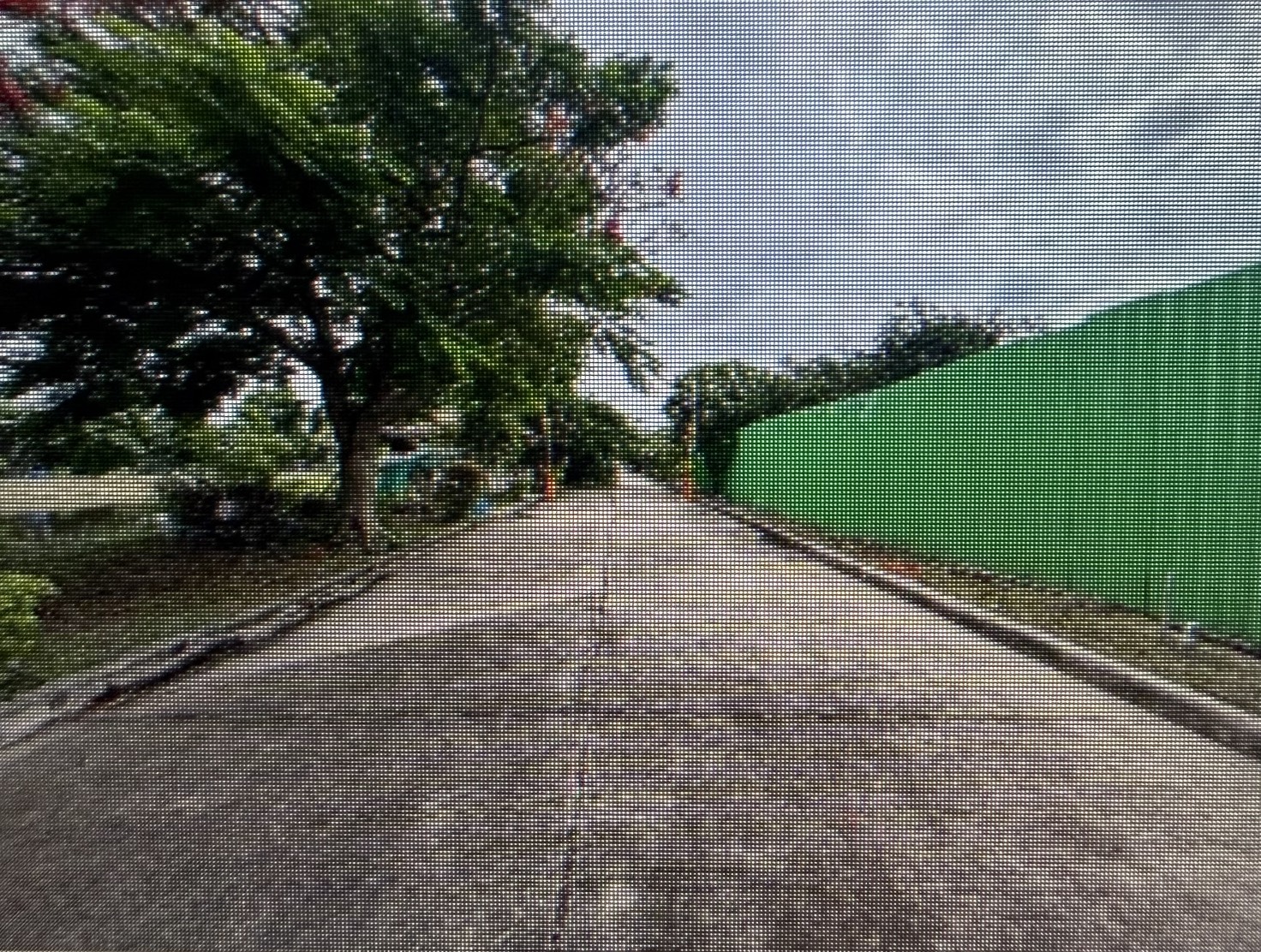 S__66379780_0
