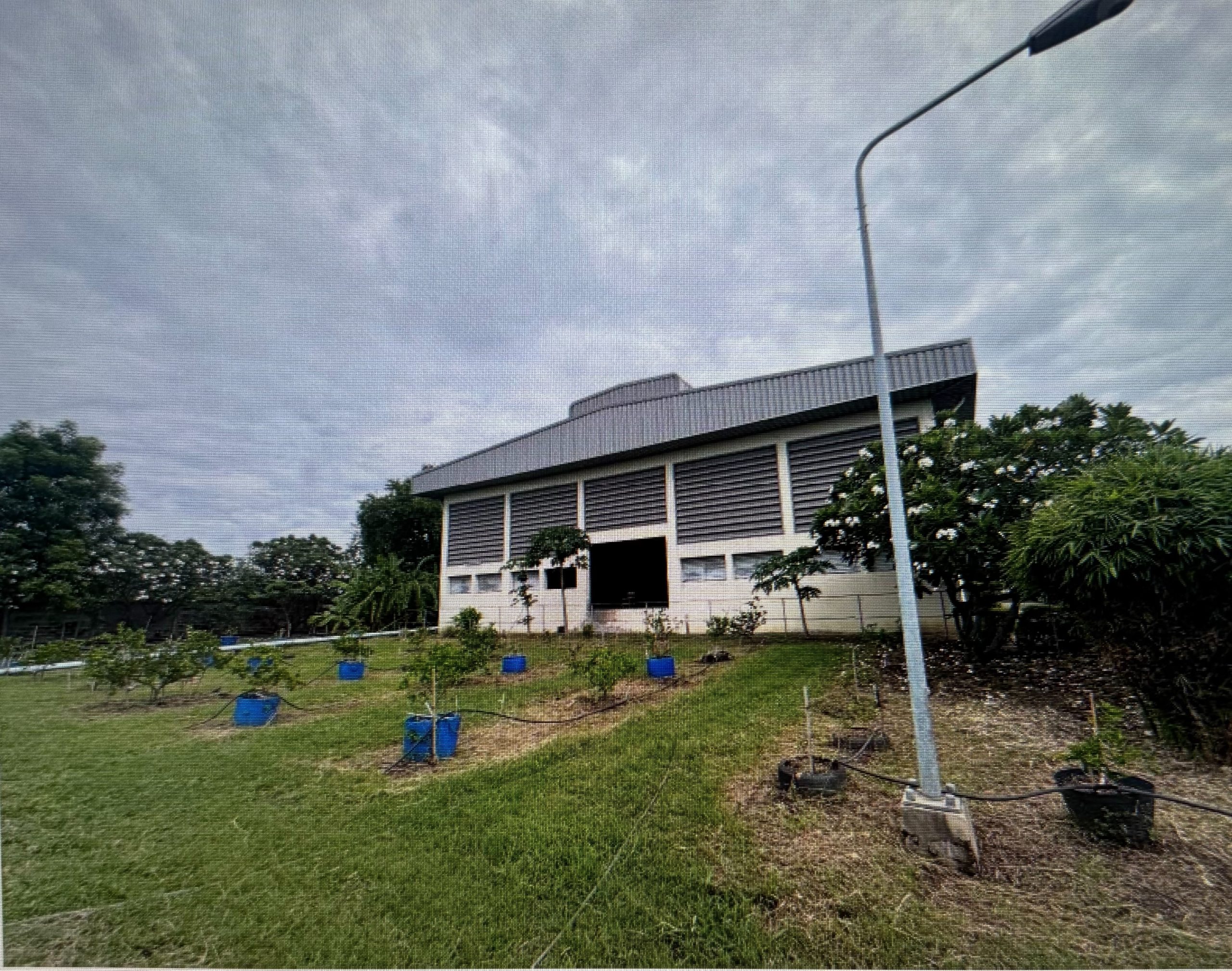 S__66379781_0