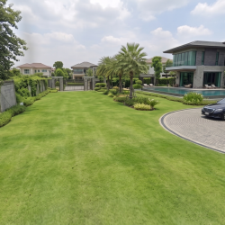 ขายที่ดิน 1 ไร่ กรุงเทพกรีฑา 37 แยก 4/1 หน้ากว้าง 32 ม. ผังสีเหลือง ย.3 ฟรีโอน
